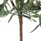 27" Olive Hill Tree W/ Container