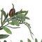 27" Olive Hill Tree W/ Container