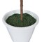 27" Olive Hill Tree W/ Container