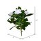 14.5" White Gardenia Bush