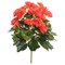 15.25" Orange Begonia Bush