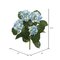 17.5" Blue Hydrangea Bush