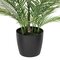50" Green Areca Palm Plant