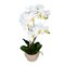 23" White Phal in Pot Real Touch