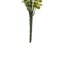22" Green Bog Pimpernel Leaf Spray 2/Pk