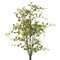 22" Green Bog Pimpernel Leaf Spray 2/Pk