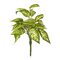 11" Green Dieffenbachia Poly Bush 3/Pk
