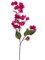 34 inches Bougainvillea Spray  Beauty