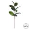 30" Green Magnolia Spray Pk/3