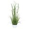 41" Green Potted Bamboo Grass
