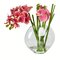 9.8" Pink Orchid In Glass Pot