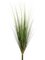 40" Onion Grass Bush  Two Tone Green(Price is for a Dozen set)