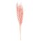 46" Dusty Rose Pampas Grass 6Pk