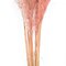 46" Dusty Rose Pampas Grass 6Pk