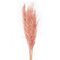 46" Dusty Rose Pampas Grass 6Pk