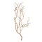 24" Sand Blasted Manzanita Tree Branch