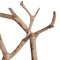 24" Sand Blasted Manzanita Tree Branch
