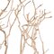 24" Sand Blasted Manzanita Tree Branch