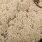 9 Lb Natural Preserved Reindeer Moss