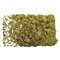 9 Lb Light Green Preserved Reindeer Moss