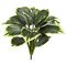 23 inches Variegated Hosta Artificial Plant