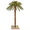 6' Outdoor Palm Tree Dura-Lit 300WW
