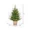 3 feet x 30 inches Gibson Slim Potted Pine Artificial Christmas Tree, Warm White Dura-lit LED Lights
