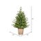 3 feet x 30 inches Gibson Slim Potted Pine Artificial Christmas Tree, Warm White Dura-lit LED Lig...