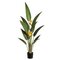 4.5’  Tropical Bird of Paradise Plant With 2 Flowers in Pot Orange Green (Real Touch)
