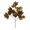 32 inches Sugar Maple Spray RED GREEN