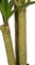 5 Foot Natural Touch Artificial Dracaena Corn Plant