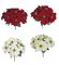 VELVET RED Or White FABRIC Poinsettia Bushes
