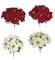 VELVET RED Or White FABRIC Poinsettia Bushes