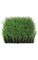10 Inch Outdoor Polyblend Artificial Wheat Grass Mat - 4 Inch Height - Green