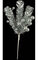 12 inches PVC Pine/Berry Pick - Silver - 6.5 inches Width - 5 inches Stem