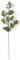 Earthflora's 32 Inch Eucalyptus Branch (Sold By The Dozen)