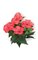 15" Hibiscus Bush - 4 Red/Pink Flowers - 2 Buds- FIRE RETARDANT