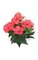 15 inches Hibiscus Bush - 4 Red/Pink Flowers - 2 Buds- FIRE RETARDANT