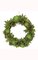 16" Plastic Succulent Twig Wreath - Brown Twig Frame - 9" Inside Diameter