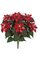 16" Small Poinsettia Bush - 7 Flowers - Green Leaves - Pink/Red