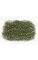 16 inches x 16 inches Moss Twig Mat with Leaves - Green
