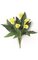 18" Calla Lily Bush - 13 Leaves - 5 Flowers