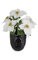 18" Poinsettia Bush - 11 Green Leaves - 5 White Flowers - 16" Width