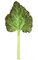 18" Rhubarb Leaf - Natural Touch - 8.5" Width