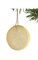 2" Sugared Lemon Slice Ornament - Yellow