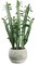 20 Inch Cactus in Terra Cotta Pot Green    (sold in a set of 4 ) 