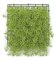 Earthflora's 10 Inch X 10 Inch Light Green Hanging Senecio Mat In Regular Or Ifr