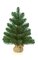24 inches Jersey Pine Christmas Tree - 48 Green Tips - 20 inches Width - Brown Burlap Base