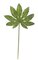 27 inches Aralia Leaf - Light Green