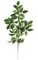 29 inches Ficus Spray - 75 Green Leaves